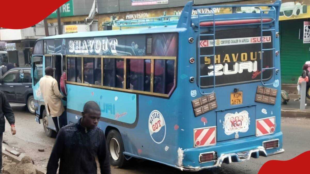 Zuri bus